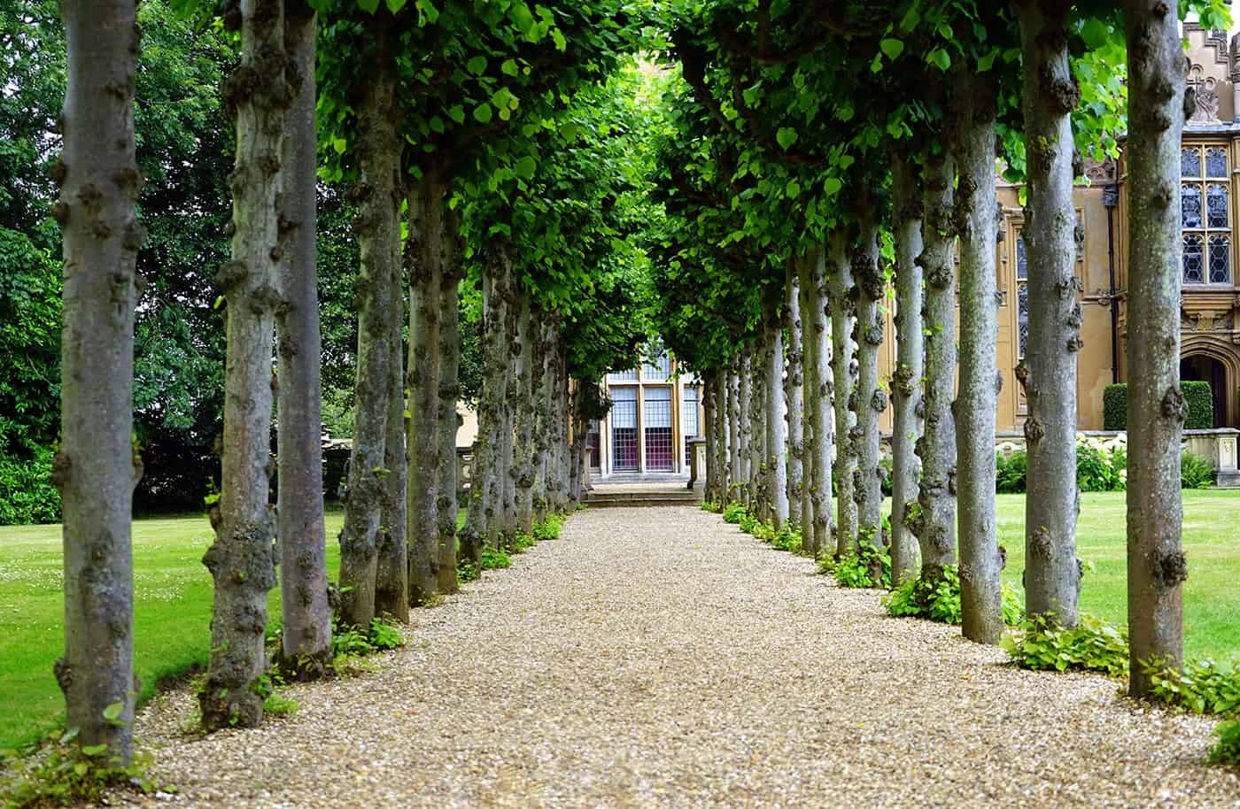 Best Roofers in Gilbert | #1 Roofing Company in Gilbert AZ 18 pexels mike b 126271